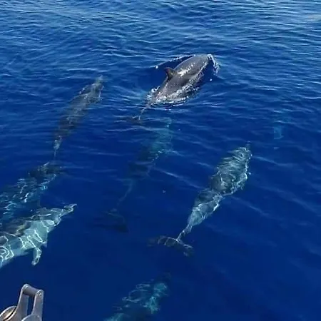 Nocleg ze śniadaniem Dolcesosta 4*