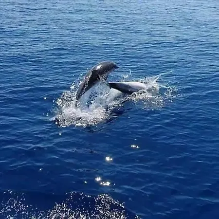 住宿加早餐酒店 Dolcesosta Marina Di Pulsano